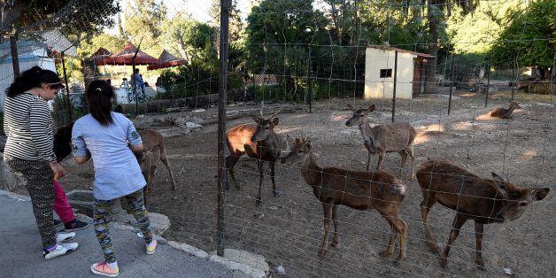 zoo