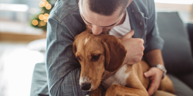 Young man sitting on sofa with his dog. Christmas three in background. Hugging him and kissing.