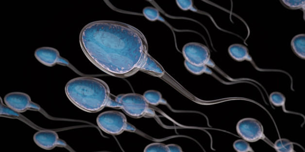 3d rendering group of sperms