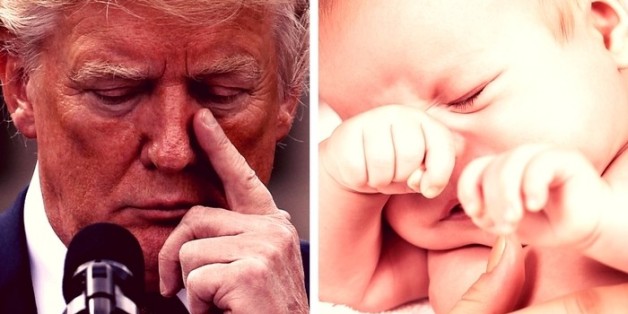 Amüsante Statistik: Das kommt heraus, wenn man Trump und ein Baby vergleicht