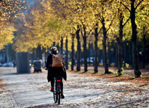 tiergarten