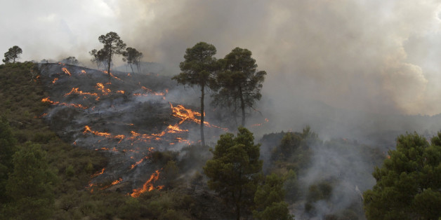 A forest fire burns in Bordj Bou Arreridj, 200km east of Algiers July 17, 2010 . The world is enduring the hottest year on record, according to a U.S. national weather analysis. For the first six months of the year, 2010 has been warmer than the first half of 1998, the previous record holder, by 0.03 degree Fahrenheit, said Jay Lawrimore, chief of climate analysis at the federal National Climatic Data Center. REUTERS/Louafi Larbi (ALGERIA - Tags: ENVIRONMENT)