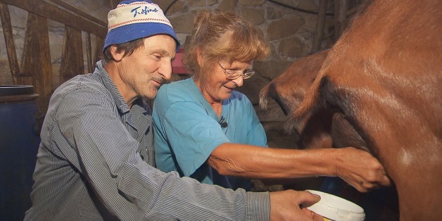 Bei André (60), dem charmanten Schweizer, müssen die Ziegen gemolken werden