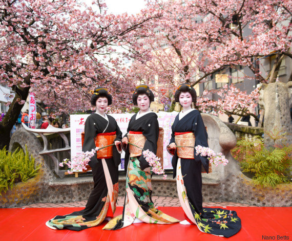 sakura festival in atami japan