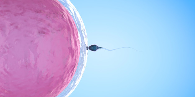 3d rendering sperm fertilize with ovum