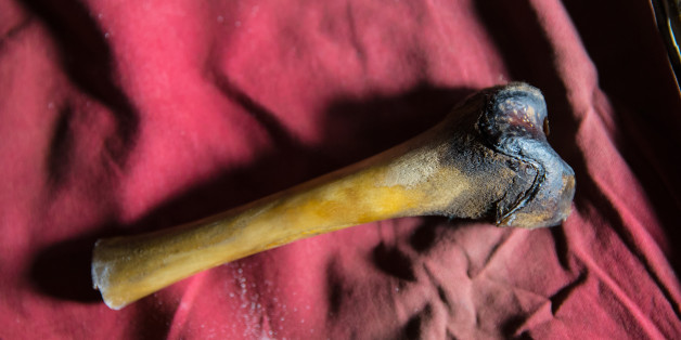 Überreste von Schneemenschen? DNA-Analyse löst Rätsel um angebliche Yeti-Knochen