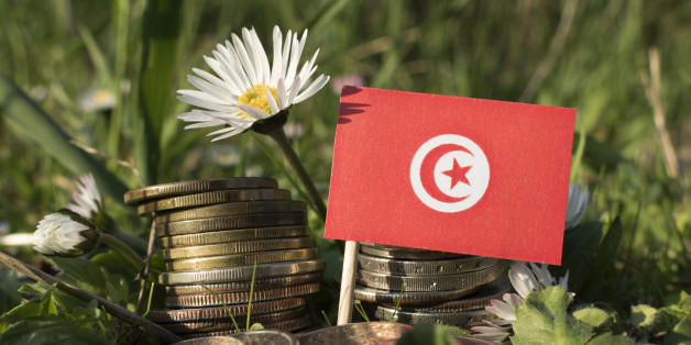 Tunisian flag with stack of money coins with grass and flowers