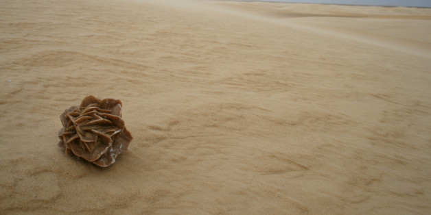 Sahara