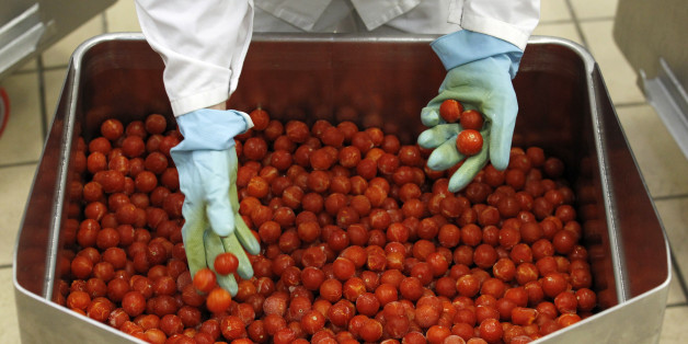 A worker inspects tomatoes in one of Paolo Ricciulli's factories in Parma November 11, 2011. Ricciulli, awarded a "Knight of Labour" honour for his business achievements, employs around 220 people at his Althea-Delfino group, Italy's biggest manufacturer of ready-made pasta sauce, with revenues of 62 million euros and two plants in Parma and Acerra, near Naples; 80 percent of his output is exported. Companies in Italy, France and Germany, the three largest economies in the euro zone, are reacting to the bloc's debt emergency with varying degrees of nonchalance and alarm, mainly depending on how much their clients, and their own business models, are reliant on loans.Residential home builders and the companies that supply them are worried about how skyrocketing sovereign debt yields will affect mortgage rates and new home purchases. Retailers are cutting jobs and trying to trim other costs. But many also say the crisis could create business opportunities, spur a healthy industry shake-out and possibly even encourage better labour practices. To match Feature EUROZONE-BUSINESS/ REUTERS/Alessandro Garofalo (ITALY - Tags: BUSINESS FOOD)