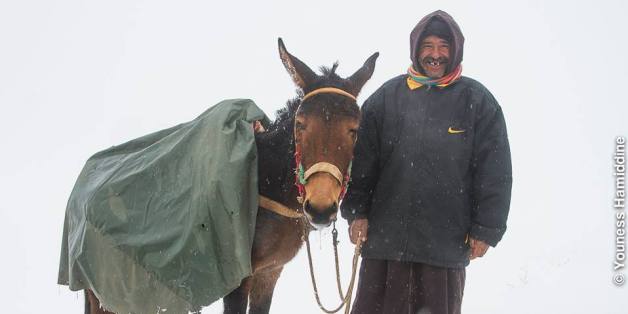 Un habitant de la région de Jemaa de Mrirt dans la province de Khénifra, qui a connu de fortes chutes de neige ce mois de janvier 2018.