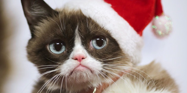 Grumpy Cat arrives to ride in the 84th Annual Hollywood Christmas Parade in the Hollywood section of Los Angeles, California, November 29, 2015. REUTERS/David McNew
