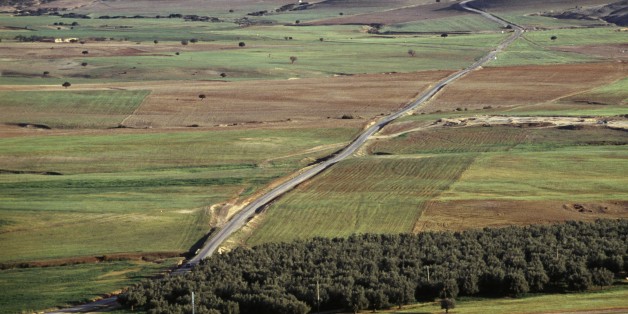 ALGERIA - MARCH 18: Agricultural landscape near Frenda, Algeria. (Photo by DeAgostini/Getty Images)