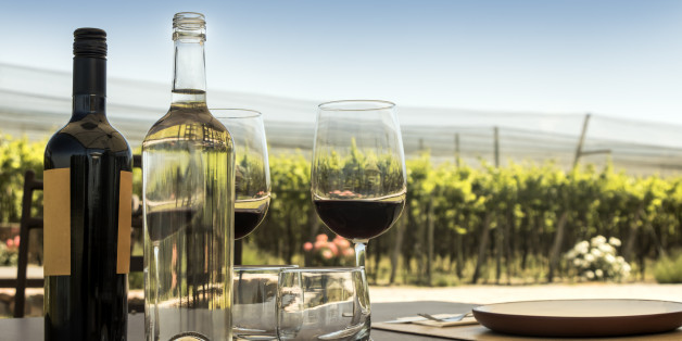 Wine tasting outdoor among vineyards