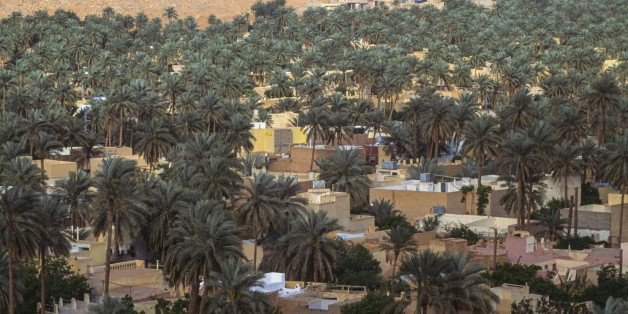 ALGERIA - MARCH 18: Palm grove, M'zab valley, Ghardaia province, Algeria. (Photo by DeAgostini/Getty Images)