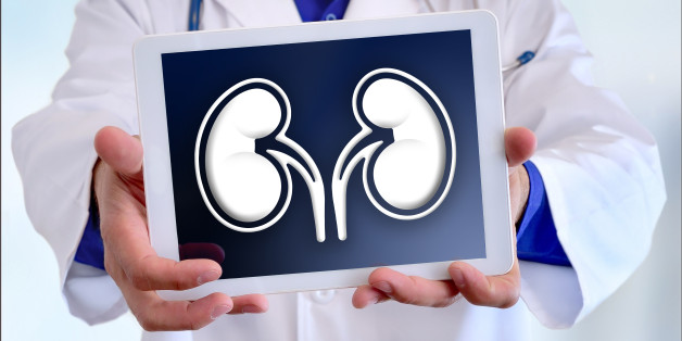 Doctor close-up of a doctor showing a picture of a kidney on a tablet in a hospital