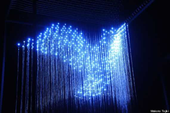 hologram bird