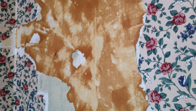 How To Remove Wallpaper With Vinegar