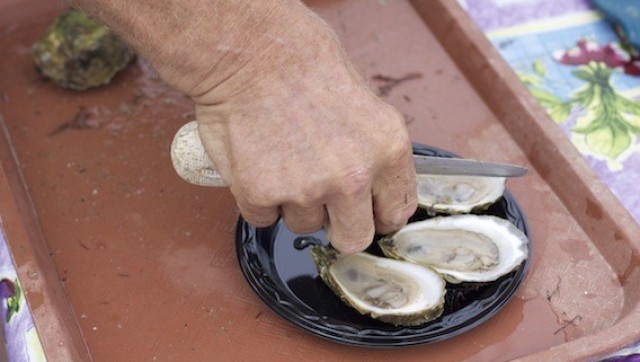 East Coast Oysters: A Guide To Origin, Flavor And How To Eat Them