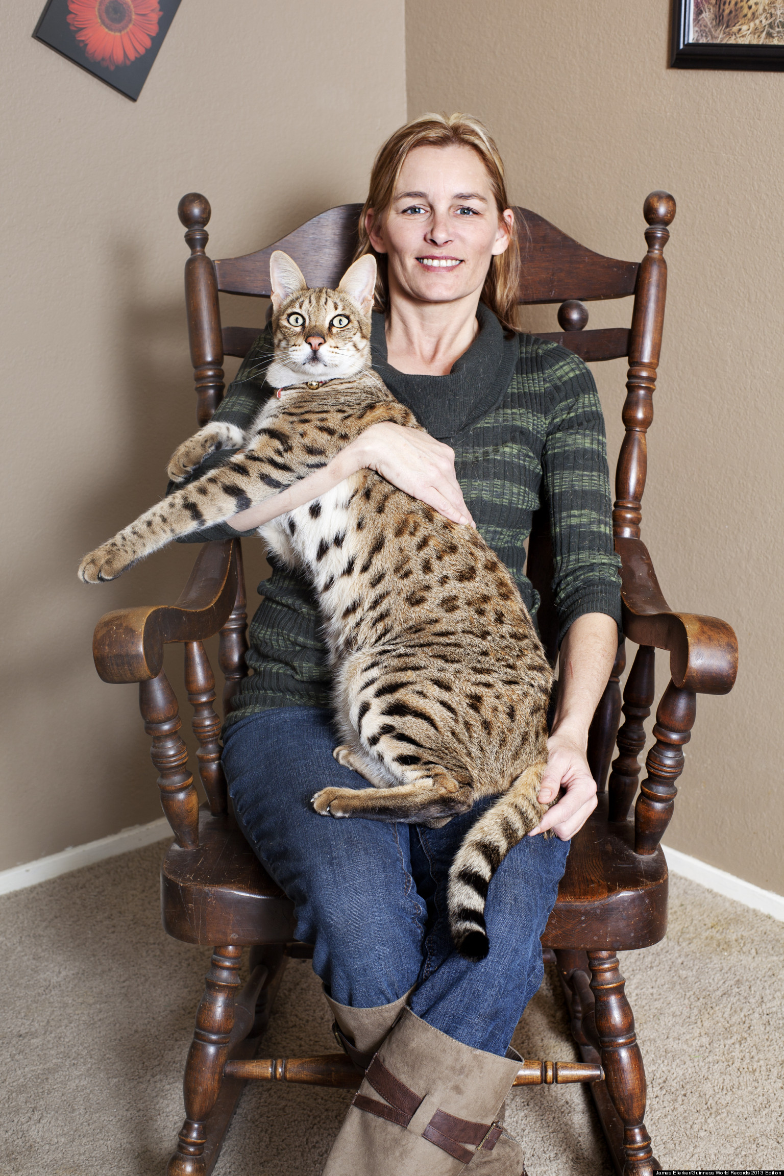 Guinness World Records 2013 Honorees Include Tallest Cat Tallest Dog 