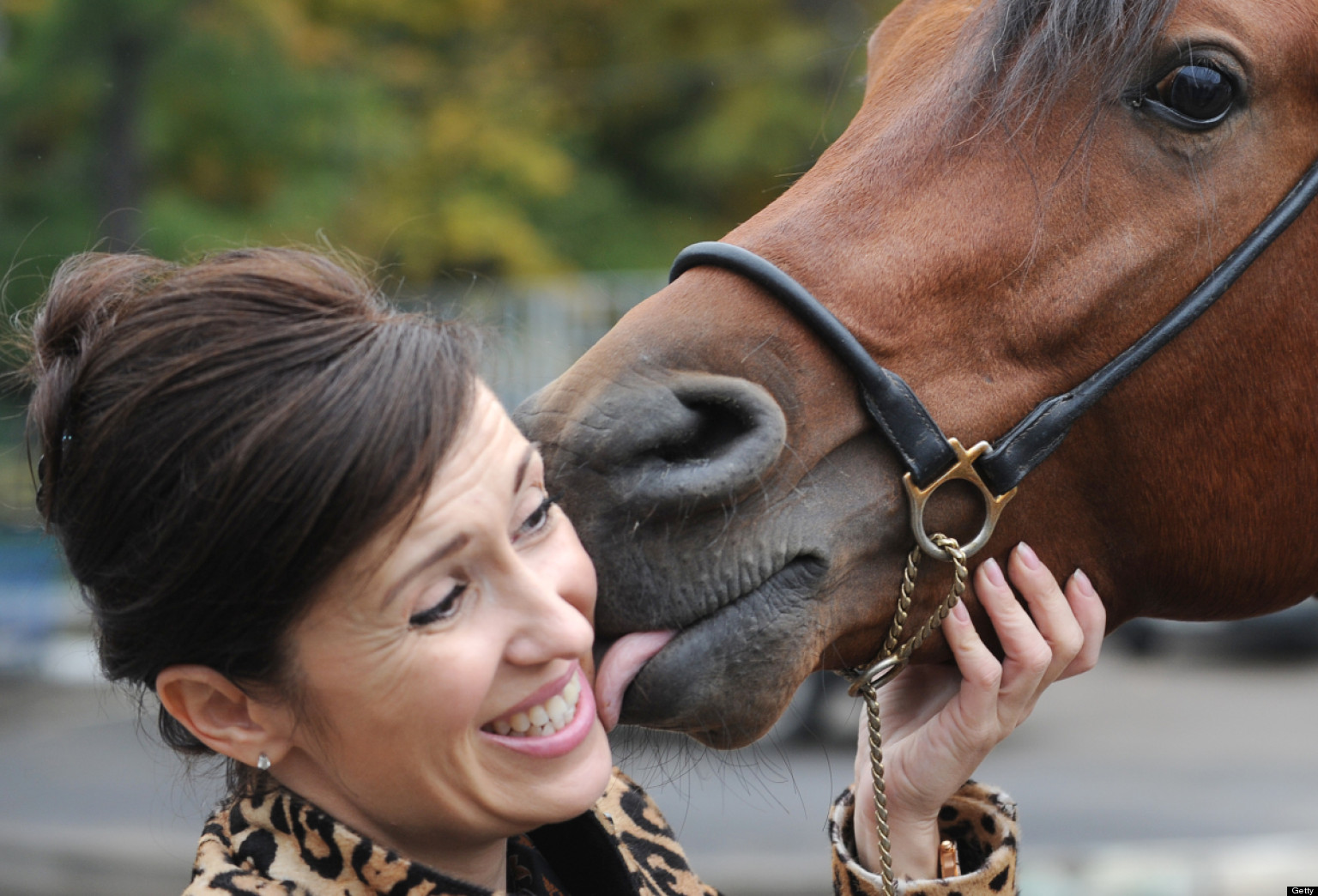 26-humans-and-pets-who-are-getting-some-wet-lovin-photos-huffpost