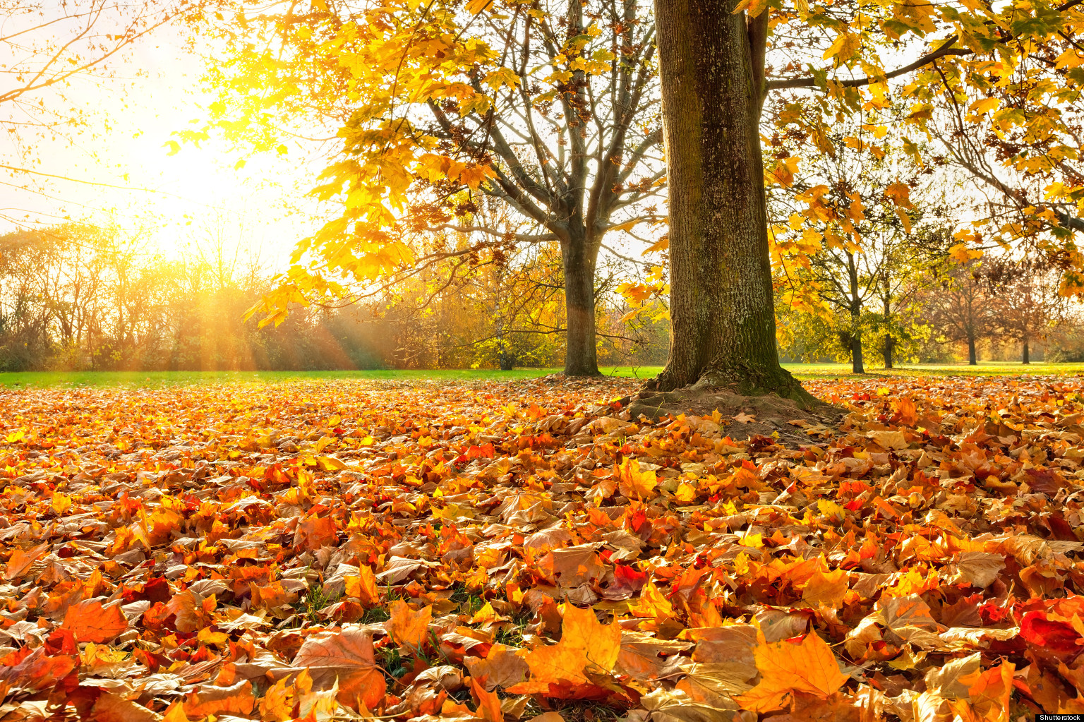 top-9-reasons-the-ninth-month-is-not-my-favorite-huffpost