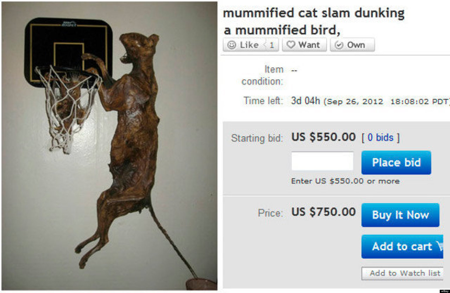 what is wrong with my ebay listings