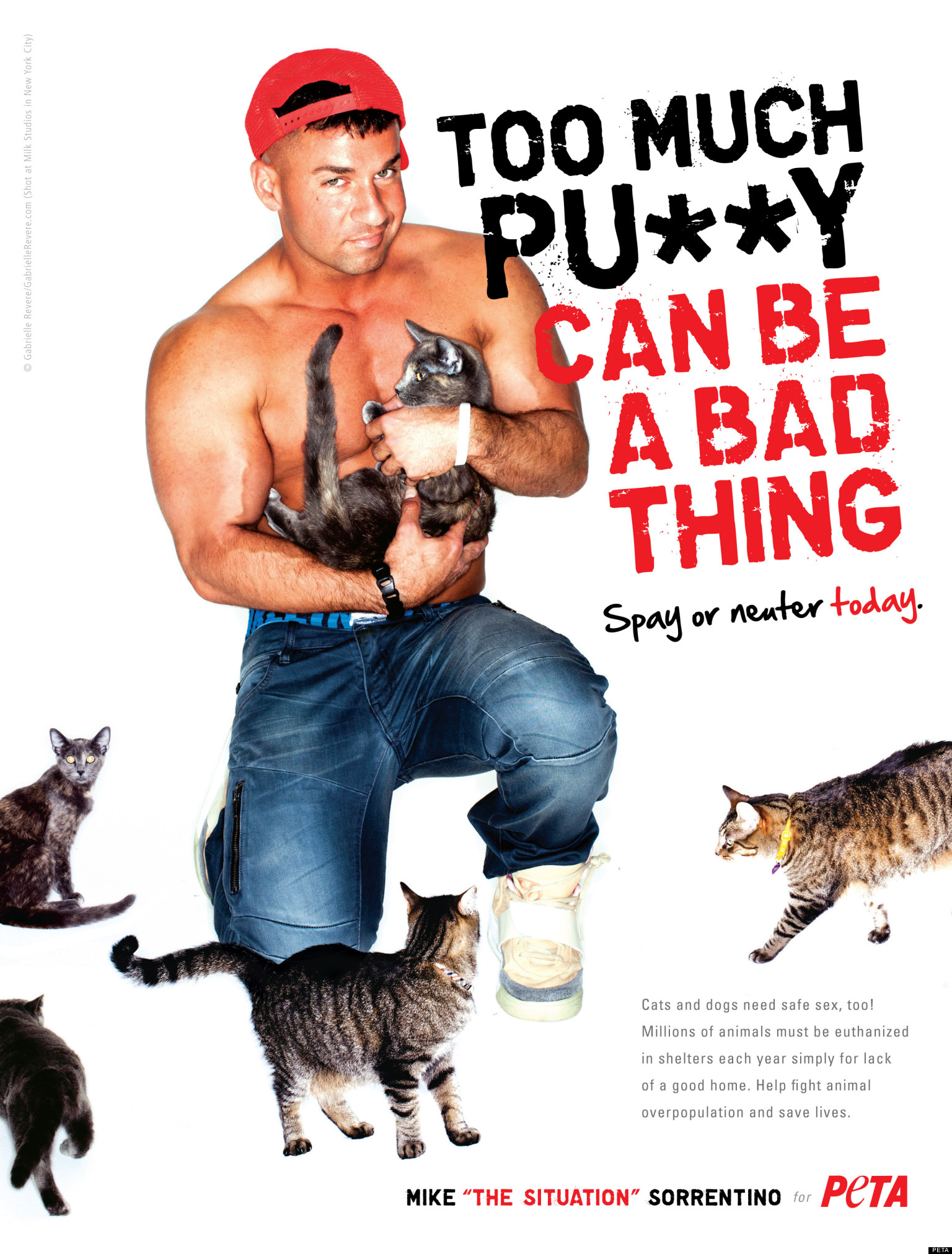 Mike 'The Situation' Sorrentino In PETA Ad 'Too Much Pu**y Can Be A