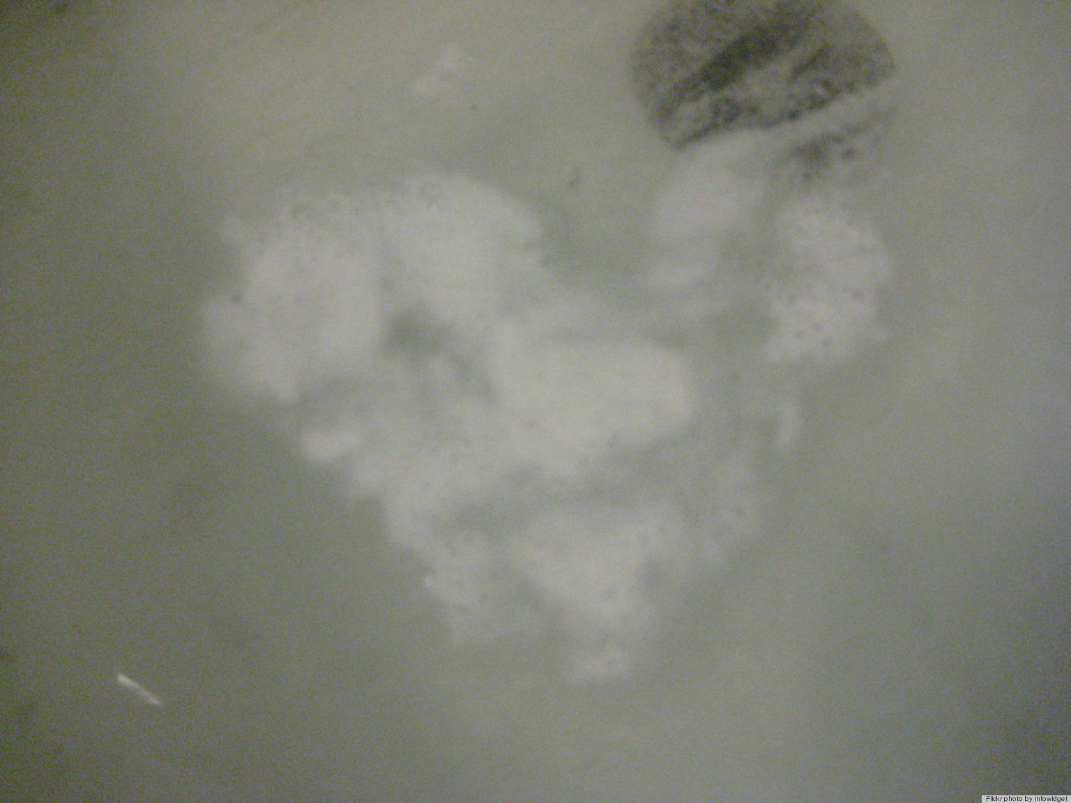 How To Clean Soap Scum With Cooking Spray HuffPost