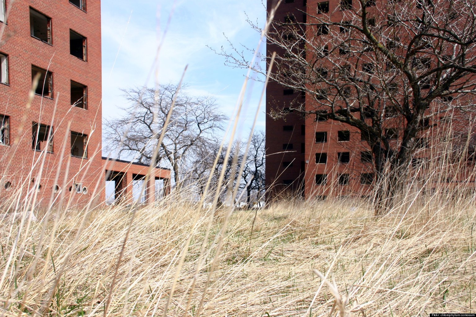 Herman Gardens Projects Detroit Michigan Fasci Garden