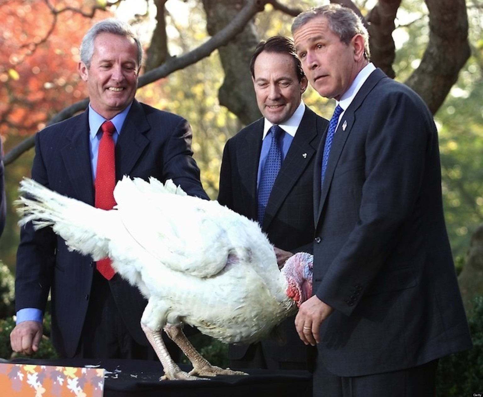 Presidential Turkey Pardon A Look Back At The Thanksgiving Tradition Photos Huffpost
