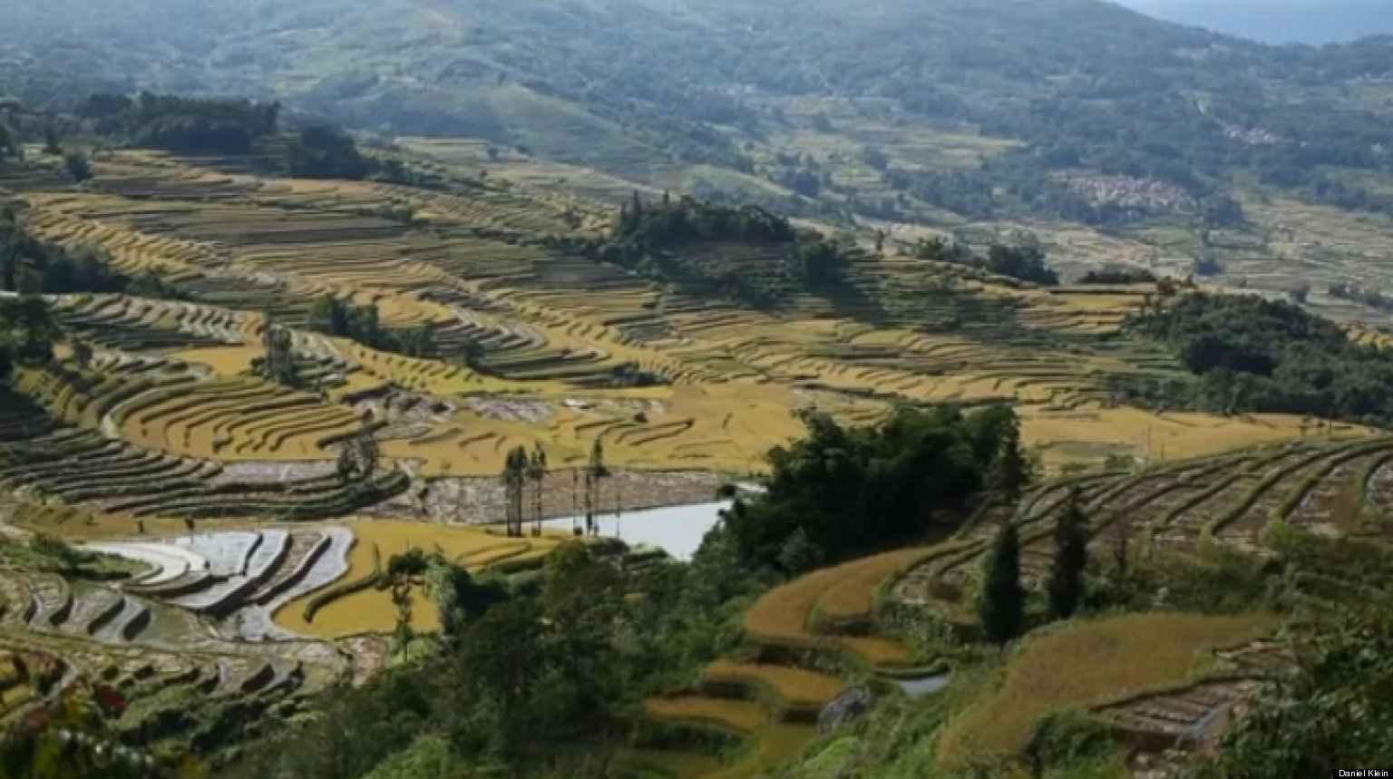 The Most Beautiful Farm On Earth | HuffPost