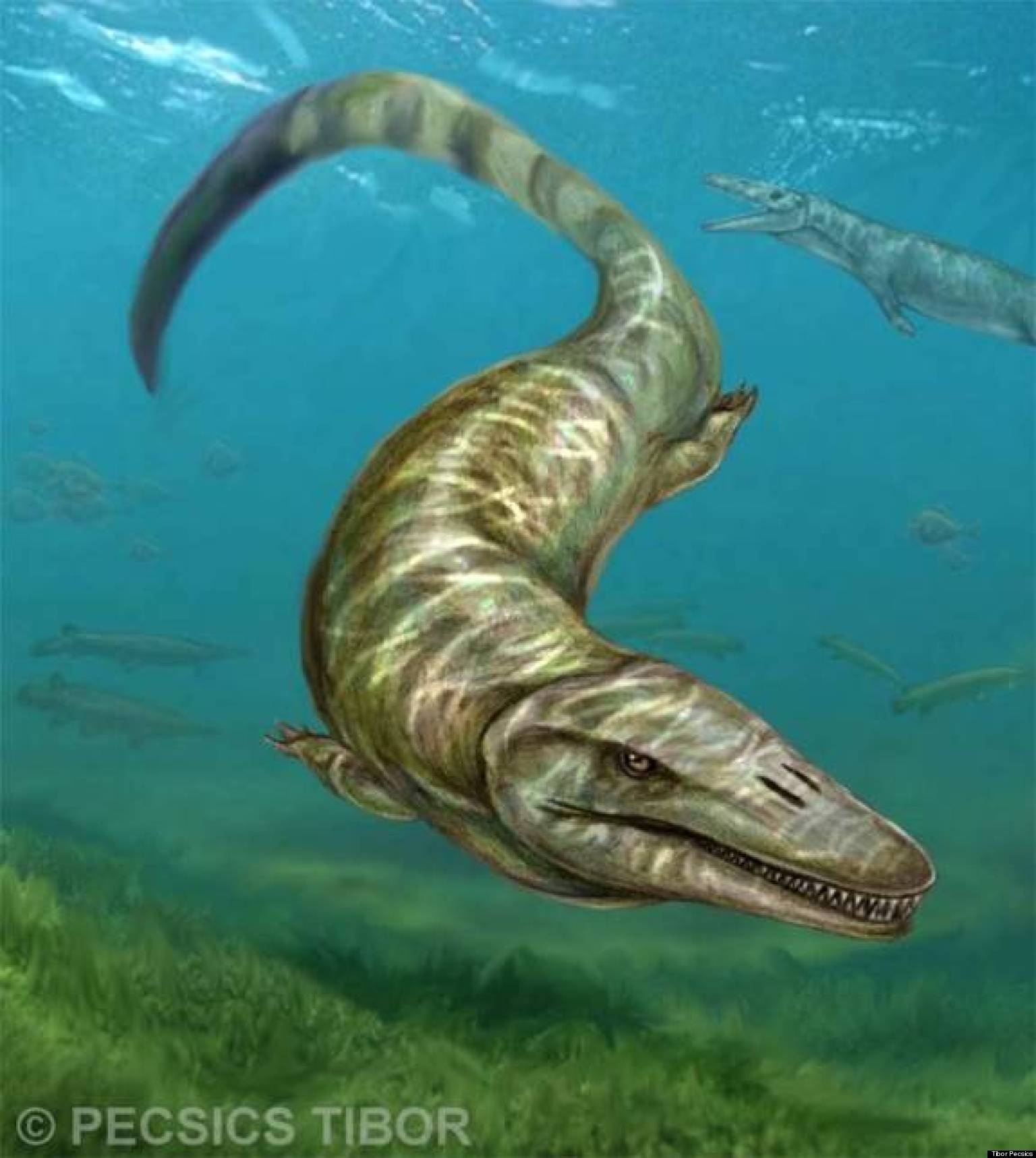 mosasaurus reptiles