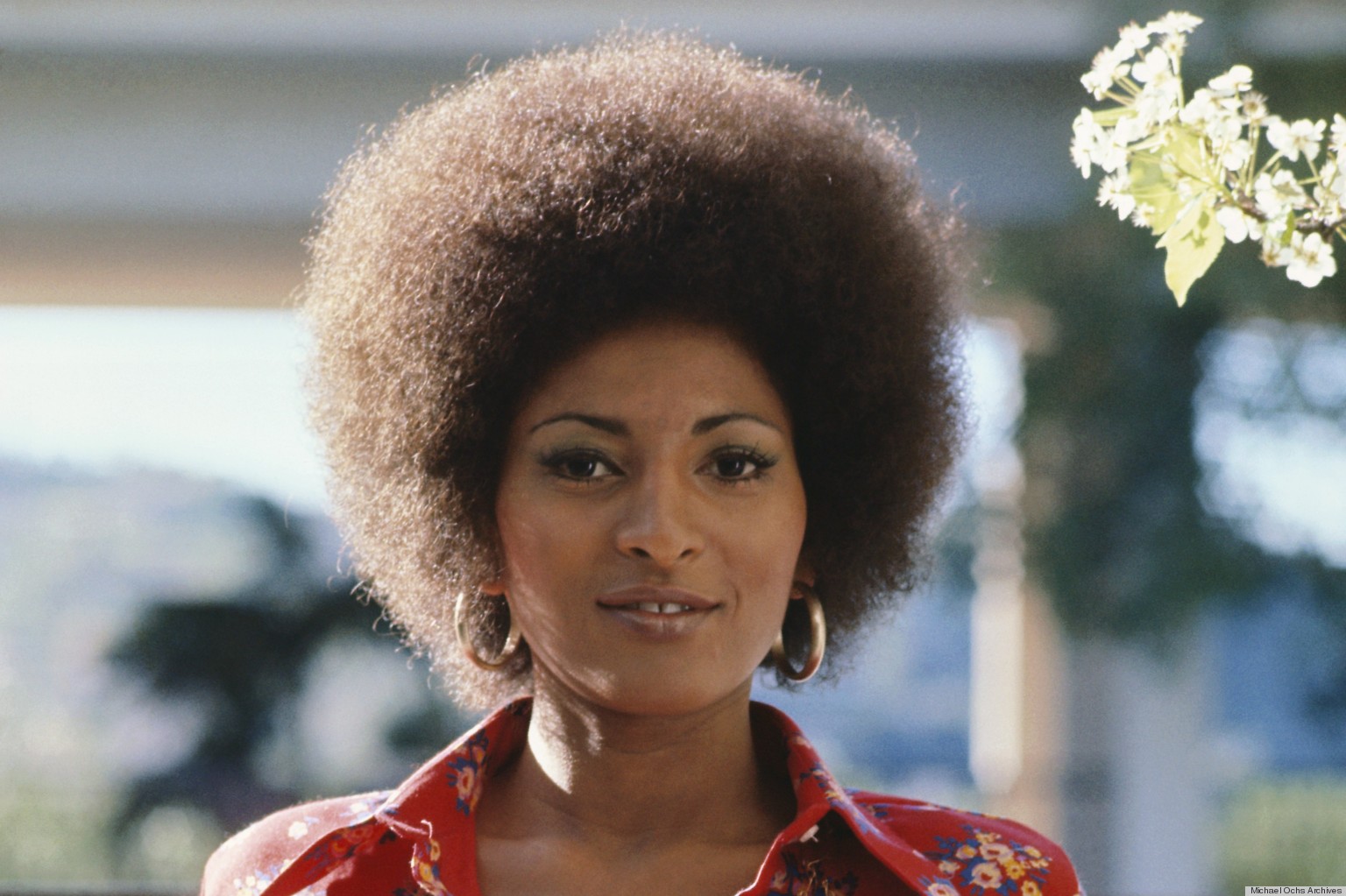 Pam Grier AKA Foxy Brown And Her Sexy Crop Top PHOTO HuffPost.