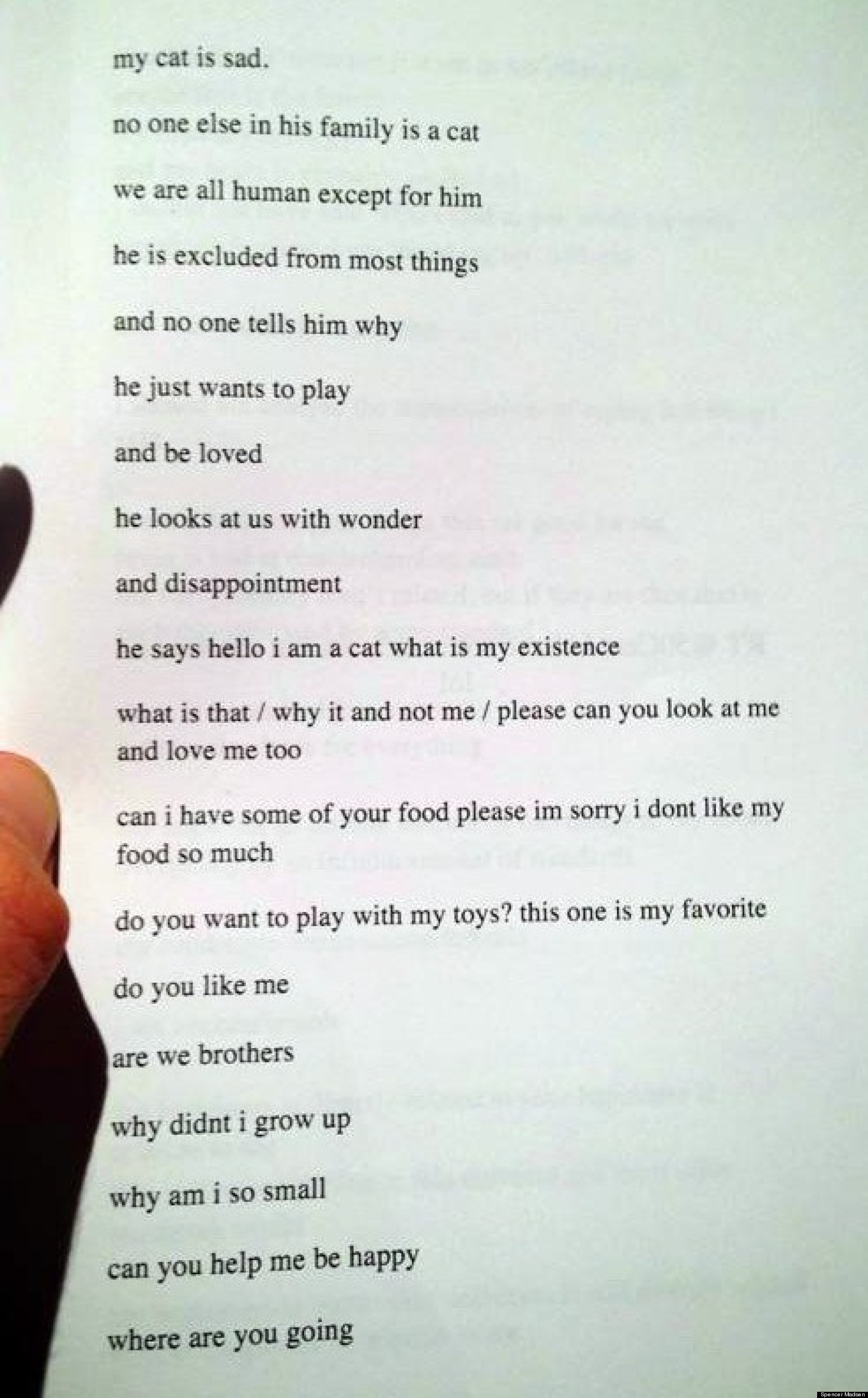 Sad Cat Poem Will Make You Laugh And Cry Simultaneously PHOTO