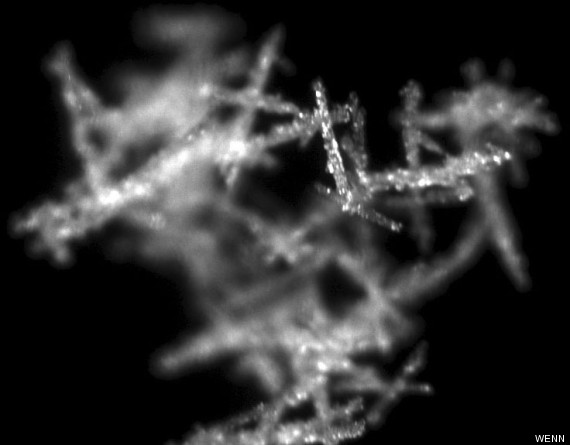 snowflake