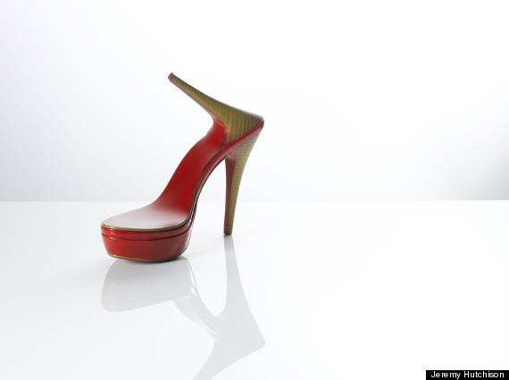 shoe