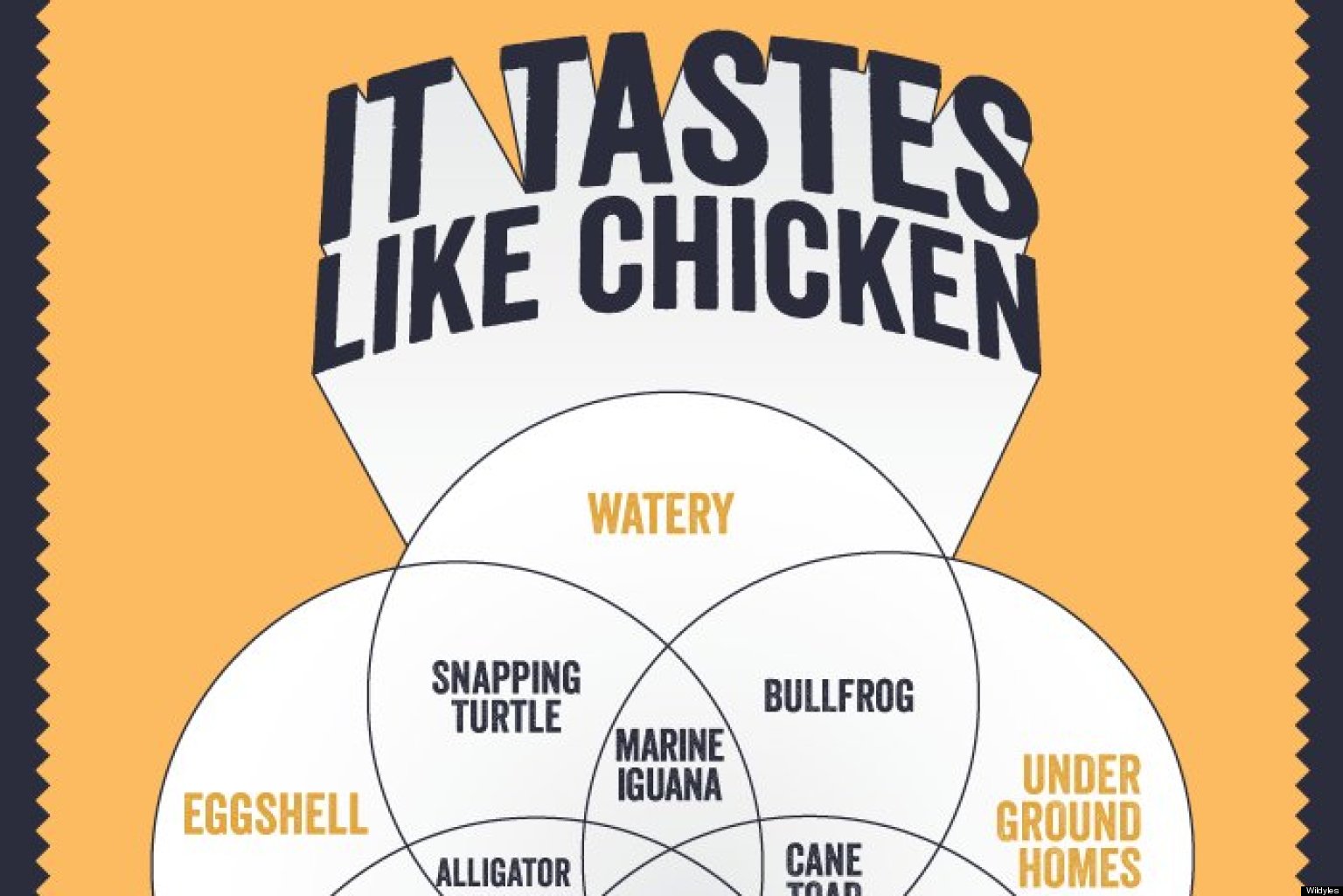 chicken infographic