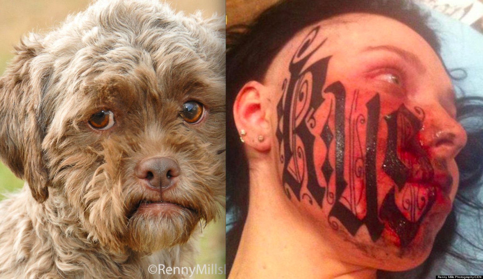 Dog With Human Face Not So Beastly (Weird News Top 10) | HuffPost