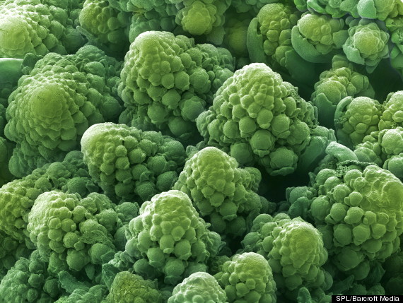 bm_food_01371412